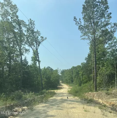 155 Hidden Acres Ln, Braxton, MS 39044 photo 2