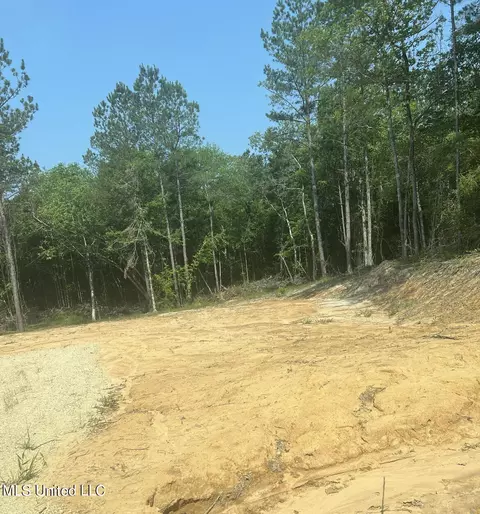 155 Hidden Acres Ln, Braxton, MS 39044 photo 4