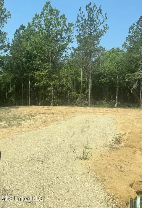 155 Hidden Acres Ln, Braxton, MS 39044