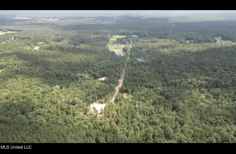 155 Hidden Acres Ln, Braxton, MS 39044 photo 9