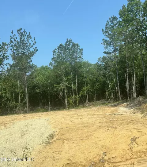 155 Hidden Acres Ln, Braxton, MS 39044 photo 3