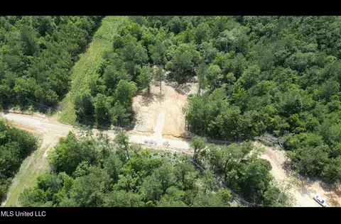 155 Hidden Acres Ln, Braxton, MS 39044 photo 5