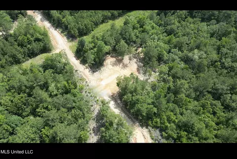 155 Hidden Acres Ln, Braxton, MS 39044 photo 6