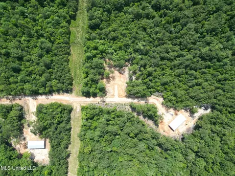 155 Hidden Acres Ln, Braxton, MS 39044 photo 8