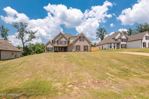 4818 Bakers Trl E, Nesbit, MS 38651 photo 25