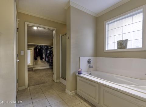 373 Briar View Dr, Brandon, MS 39042 photo 4