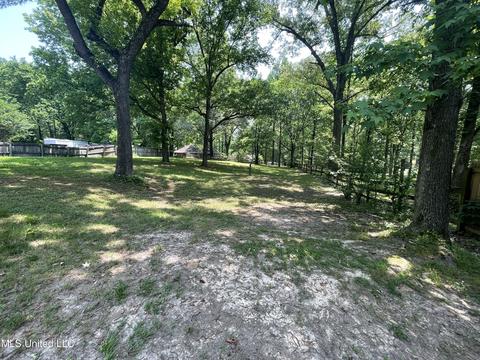 6500 River Birch Rd, Walls, MS 38680 photo 25