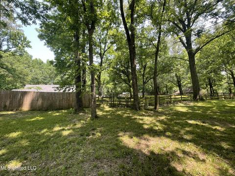 6500 River Birch Rd, Walls, MS 38680 photo 27