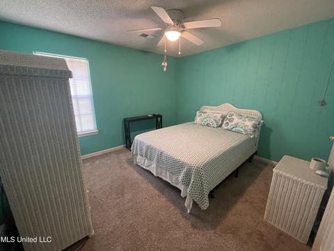 6500 River Birch Rd, Walls, MS 38680 photo 18