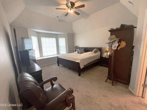 6500 River Birch Rd, Walls, MS 38680 photo 14