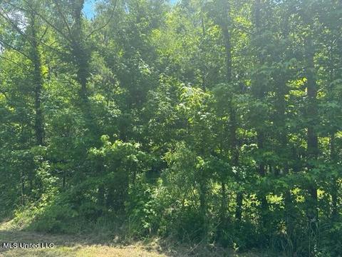 Rolling Oaks Lane, Senatobia, MS 38668