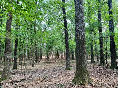 Old Rice Rd, Madison, MS 39110 photo 4