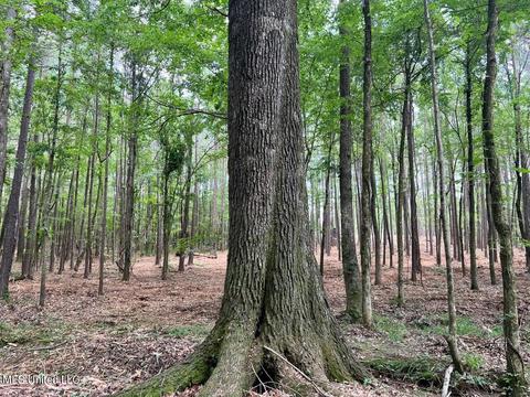 Old Rice Rd, Madison, MS 39110 photo 11