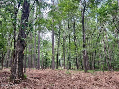 Old Rice Rd, Madison, MS 39110 photo 8