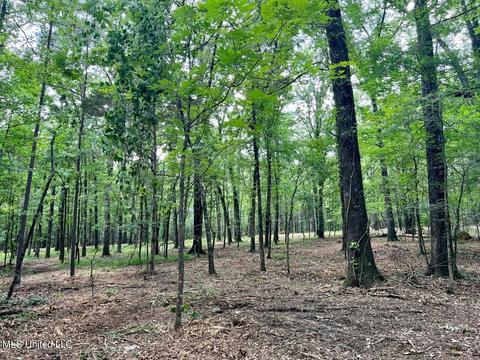 Old Rice Rd, Madison, MS 39110 photo 9