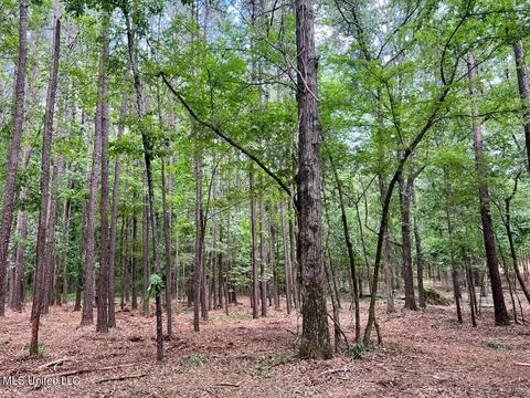 Old Rice Rd, Madison, MS 39110 photo 7