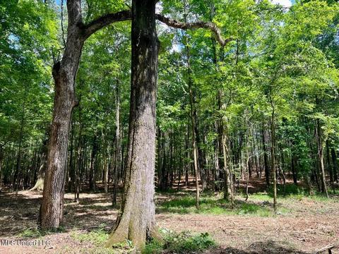 Old Rice Rd, Madison, MS 39110 photo 3