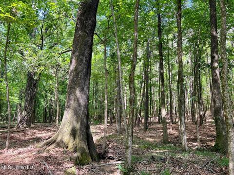 Old Rice Rd, Madison, MS 39110 photo 2