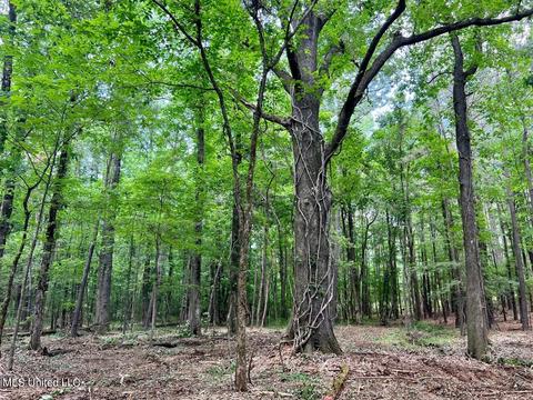 Old Rice Rd, Madison, MS 39110 photo 10