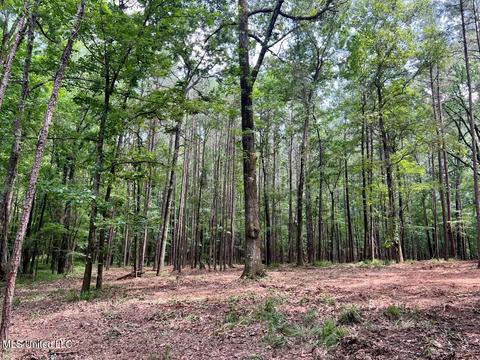 Old Rice Rd, Madison, MS 39110 photo 6