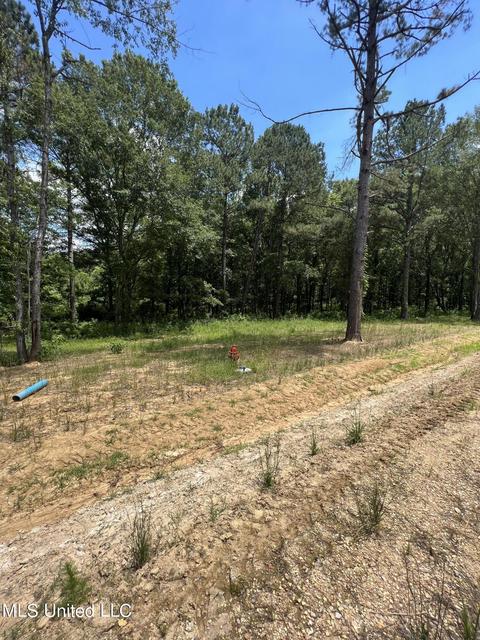 Hunters Cove, Madison, MS 39110 photo 4