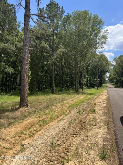 Hunters Cove, Madison, MS 39110 photo 6