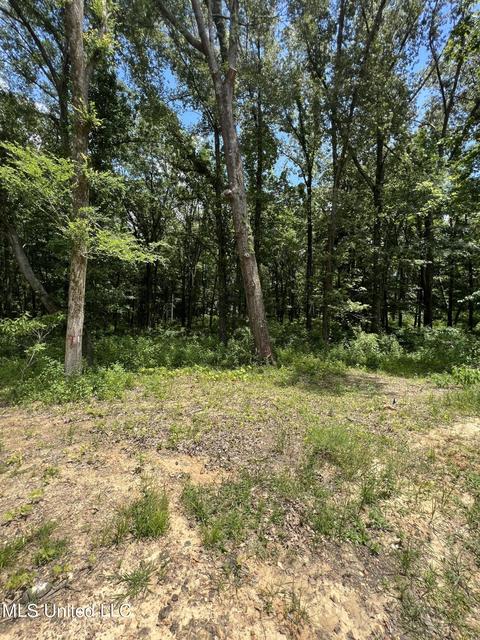 Hunters Cove, Madison, MS 39110 photo 3