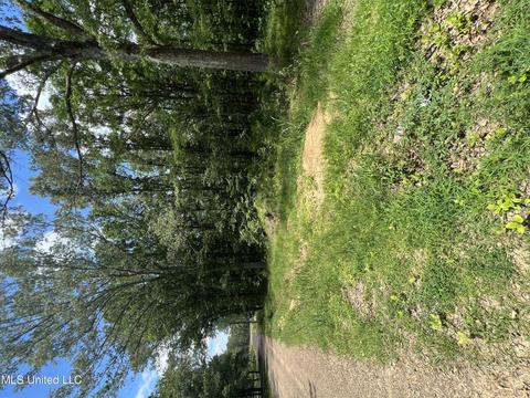 Hunters Cove, Madison, MS 39110