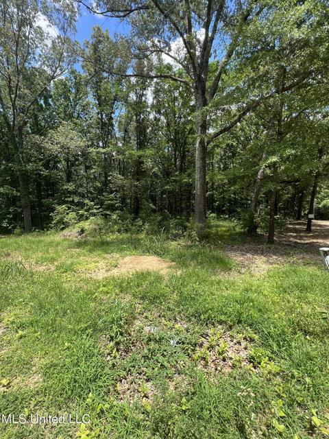 Hunters Cove, Madison, MS 39110 photo 2