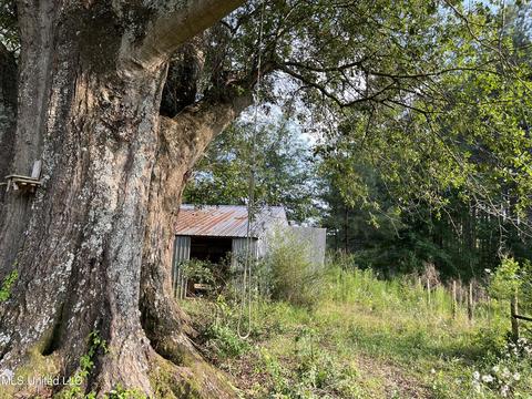 318 J Smith Rd, Mount Olive, MS 39119 photo 27