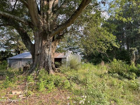 318 J Smith Rd, Mount Olive, MS 39119 photo 28