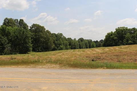 Holly Springs Road, Byhalia, MS 38611