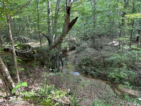 11650 Attala Road 4101, Sallis, MS 39160
