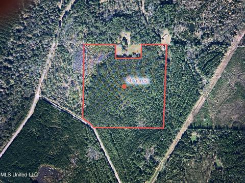 Mcdonald Road, Lucedale, MS 39452