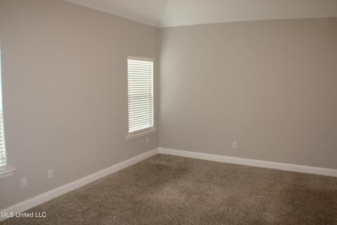 1067 Peggy Cv, Hernando, MS 38632 photo 10