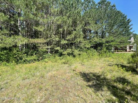 Carthage, MS Homes For Sale & Real Estate - Movoto