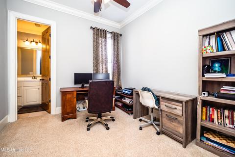 123 Esplanade Ct, Madison, MS 39110 photo 28