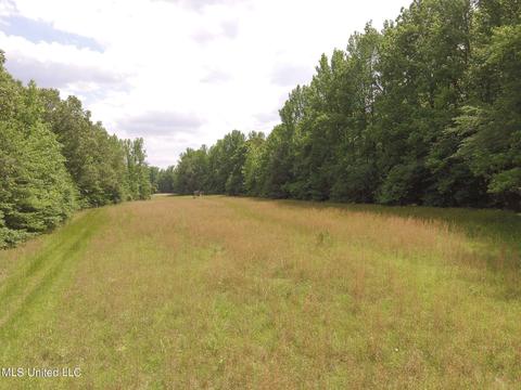 0 Avant Rd, Crenshaw, MS 38621 photo 12