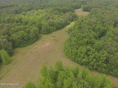 0 Avant Rd, Crenshaw, MS 38621 photo 3
