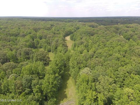 0 Avant Rd, Crenshaw, MS 38621 photo 11