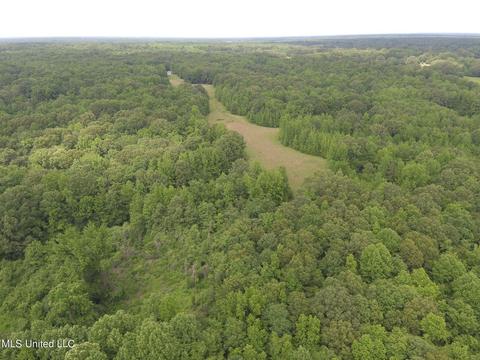 0 Avant Rd, Crenshaw, MS 38621 photo 4