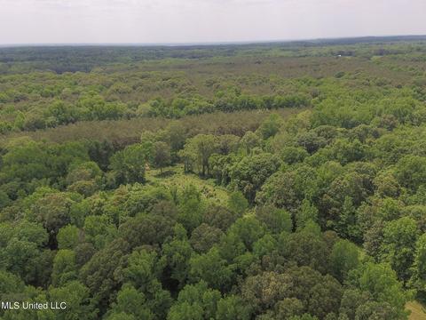 0 Avant Rd, Crenshaw, MS 38621 photo 6