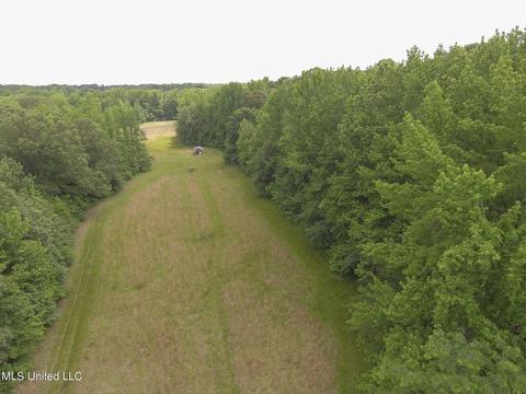 0 Avant Rd, Crenshaw, MS 38621 photo 8
