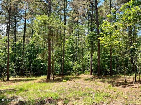 Spring Creek Rd, Flora, MS 39071 photo 10