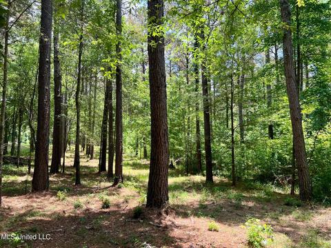 Spring Creek Rd, Flora, MS 39071 photo 4