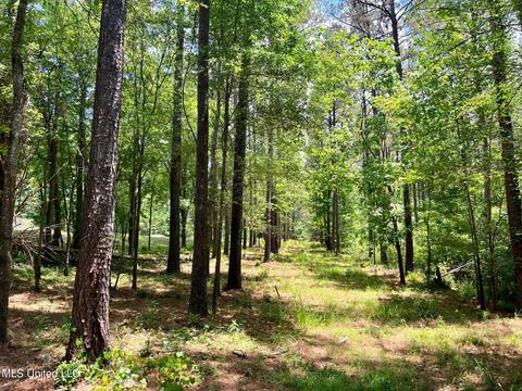 Spring Creek Rd, Flora, MS 39071 photo 5
