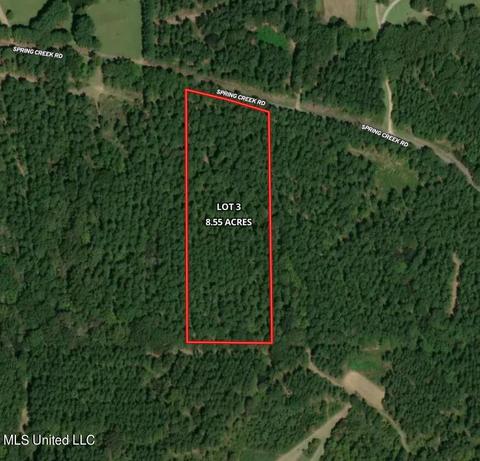 Spring Creek Rd, Flora, MS 39071 photo 2