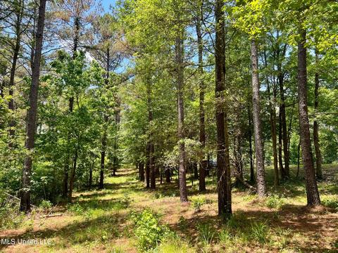 Spring Creek Rd, Flora, MS 39071 photo 7