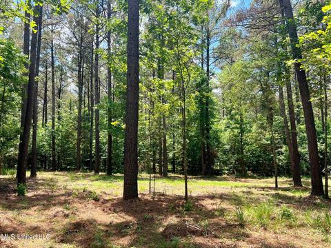 Spring Creek Rd, Flora, MS 39071 photo 8