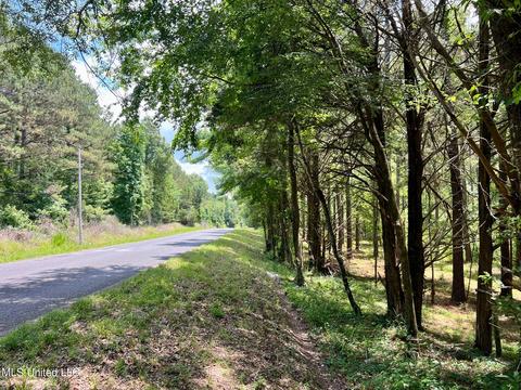Spring Creek Rd, Flora, MS 39071 photo 3